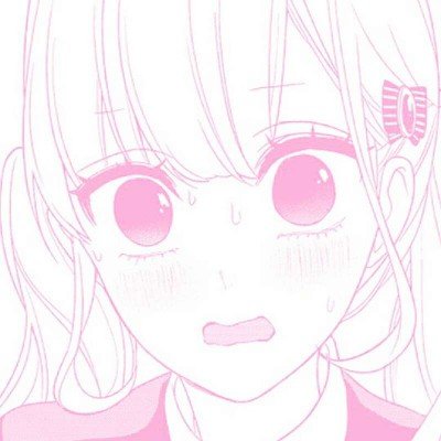 国羽包揽羽毛球亚锦赛女双冠亚军